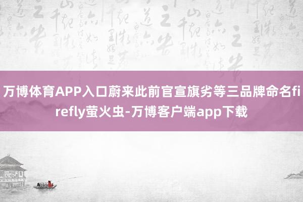 万博体育APP入口蔚来此前官宣旗劣等三品牌命名firefly萤火虫-万博客户端app下载