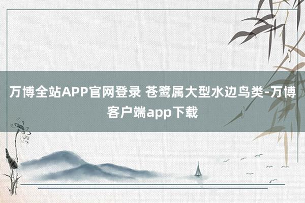 万博全站APP官网登录 苍鹭属大型水边鸟类-万博客户端app下载