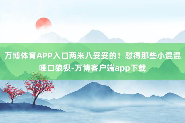 万博体育APP入口两米八妥妥的！怼得那些小混混哑口狼狈-万博客户端app下载