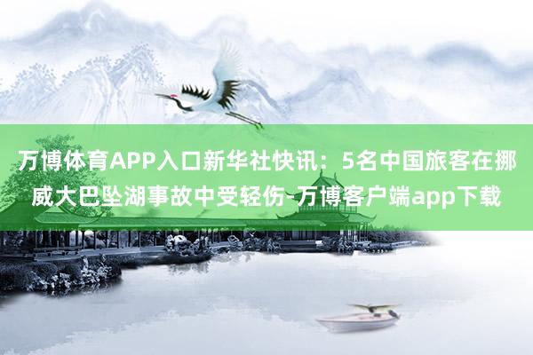 万博体育APP入口新华社快讯：5名中国旅客在挪威大巴坠湖事故中受轻伤-万博客户端app下载