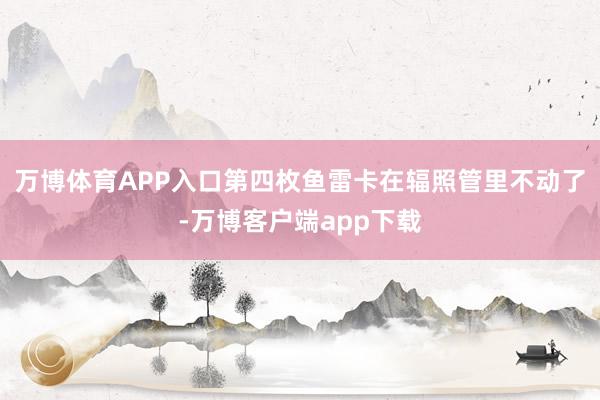 万博体育APP入口第四枚鱼雷卡在辐照管里不动了-万博客户端app下载