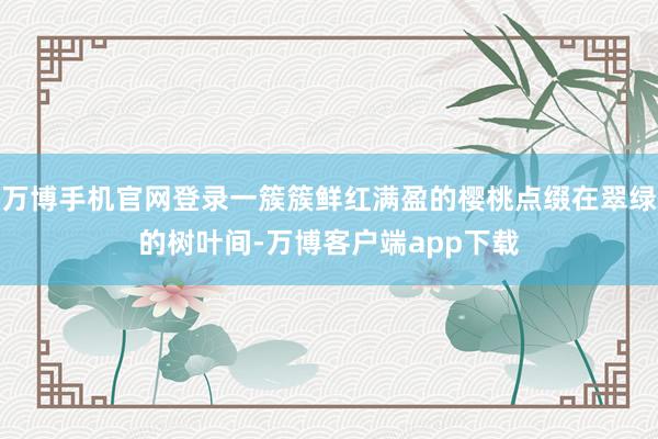 万博手机官网登录一簇簇鲜红满盈的樱桃点缀在翠绿的树叶间-万博客户端app下载