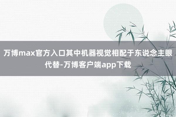 万博max官方入口其中机器视觉相配于东说念主眼代替-万博客户端app下载