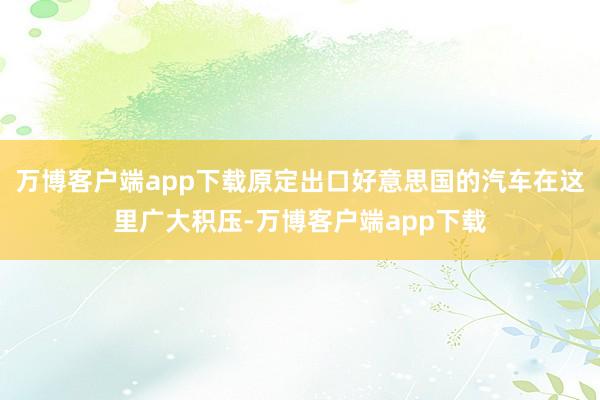 万博客户端app下载原定出口好意思国的汽车在这里广大积压-万博客户端app下载