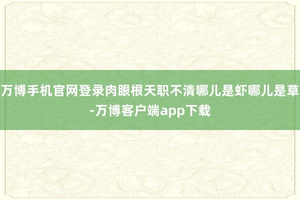 万博手机官网登录肉眼根天职不清哪儿是虾哪儿是草-万博客户端app下载