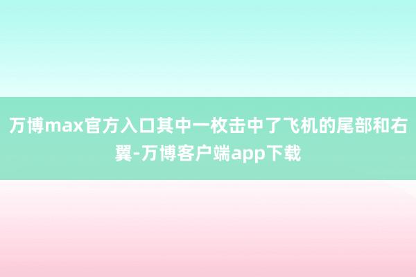 万博max官方入口其中一枚击中了飞机的尾部和右翼-万博客户端app下载
