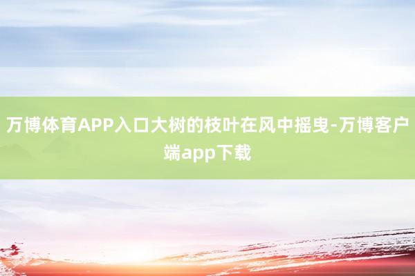 万博体育APP入口大树的枝叶在风中摇曳-万博客户端app下载