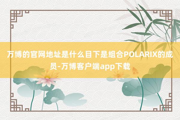 万博的官网地址是什么目下是组合POLARIX的成员-万博客户端app下载