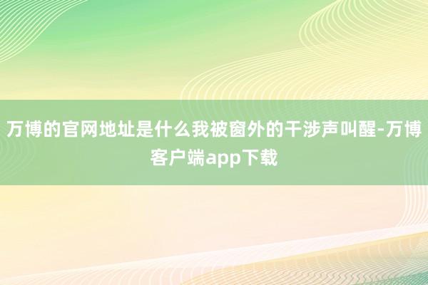 万博的官网地址是什么我被窗外的干涉声叫醒-万博客户端app下载