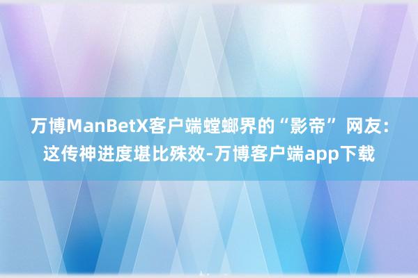 万博ManBetX客户端螳螂界的“影帝” 网友：这传神进度堪比殊效-万博客户端app下载