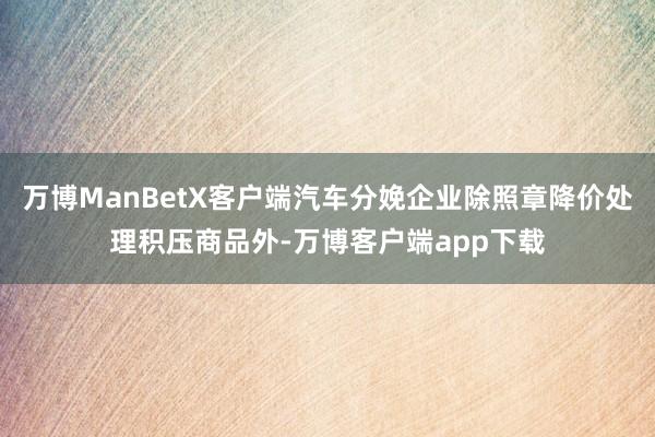 万博ManBetX客户端汽车分娩企业除照章降价处理积压商品外-万博客户端app下载