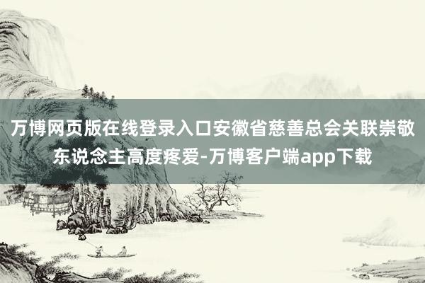 万博网页版在线登录入口安徽省慈善总会关联崇敬东说念主高度疼爱-万博客户端app下载